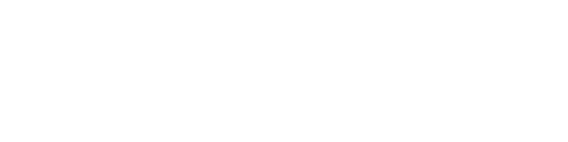 Addiguru